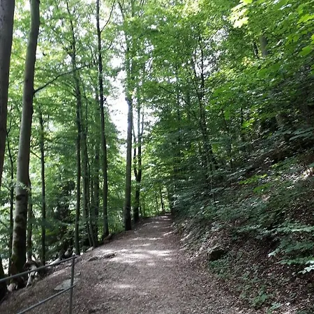 Leimernhof *