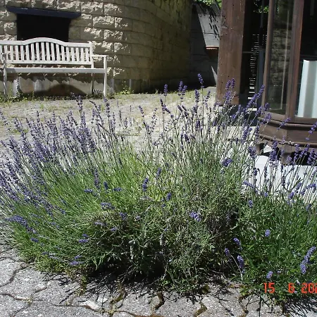 Leimernhof Bed & Breakfast Thorishaus