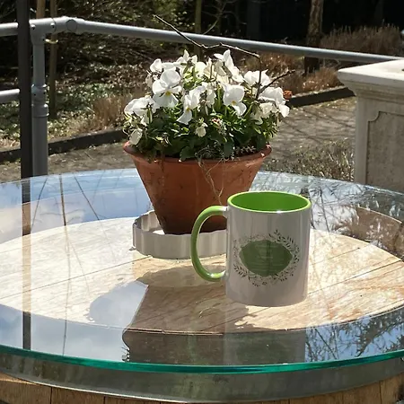 Leimernhof Thorishaus