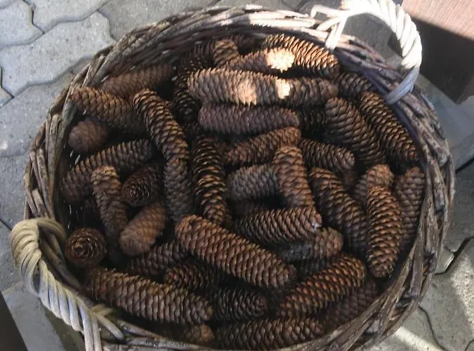 Leimernhof فندق مبيت وإفطار *